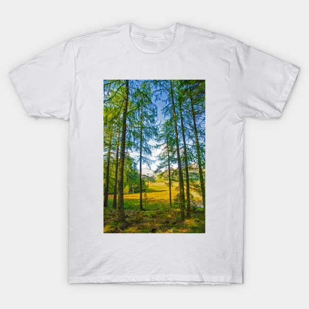 Tall Evergreens by Blea Tarn T-Shirt by BrianPShaw